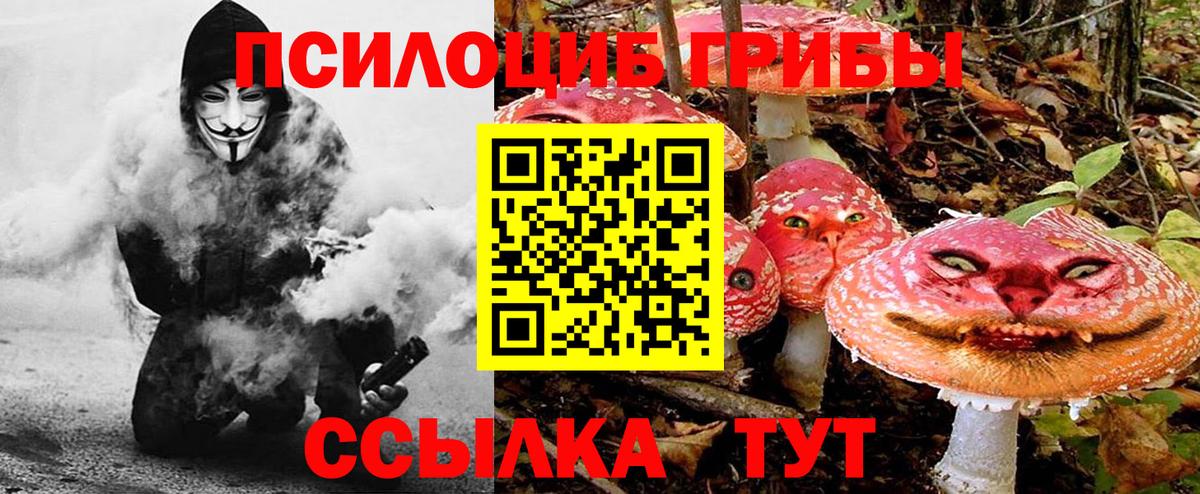 Галлюциногенные грибы мицелий  Галлюциногенные грибы Psilocybine cubensis  Вход с VPN  дарнет шоп  Глазов 